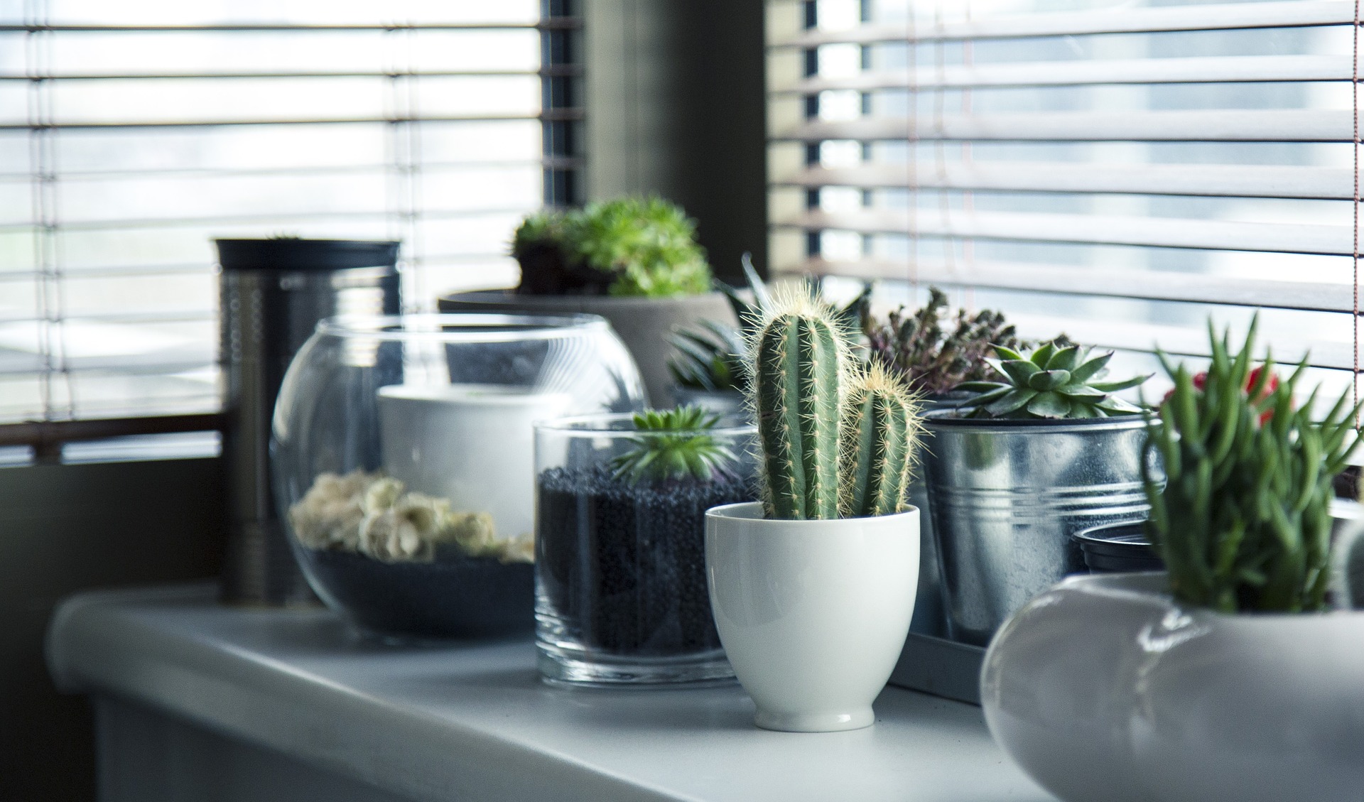 dormir con plantas