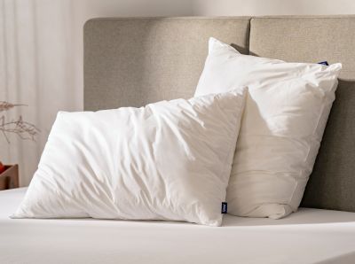 Apnea del sonno Apnea del sonno