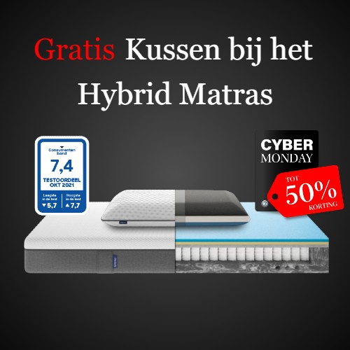 Hybrid Hybrid